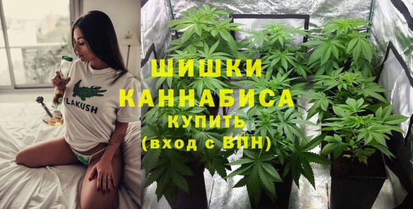 тгк Михайлов