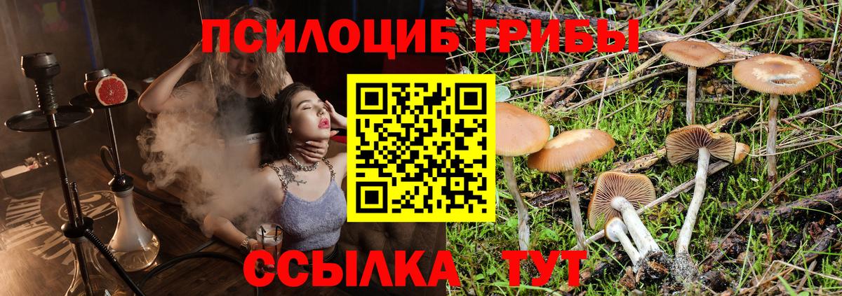 Галлюциногенные грибы Magic Shrooms Шахты