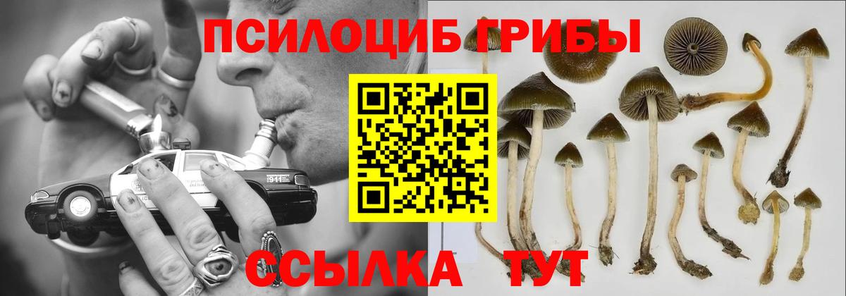 Псилоцибиновые грибы мухоморы  Вход с VPN  Шахты 